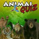 Quiz animal