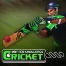 Desafio de batedor de críquete