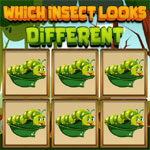 Hangi Böcek Farklı Görünüyor?