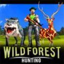 Wild Forest Hunter