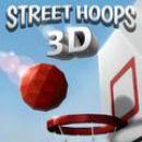 거리 농구 3D